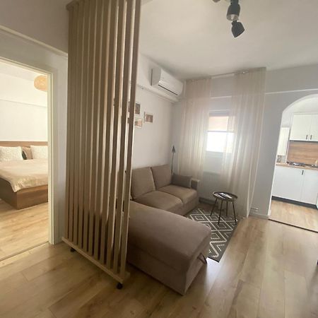 Doinei Cozy Flat Apartment Timisoara Bagian luar foto