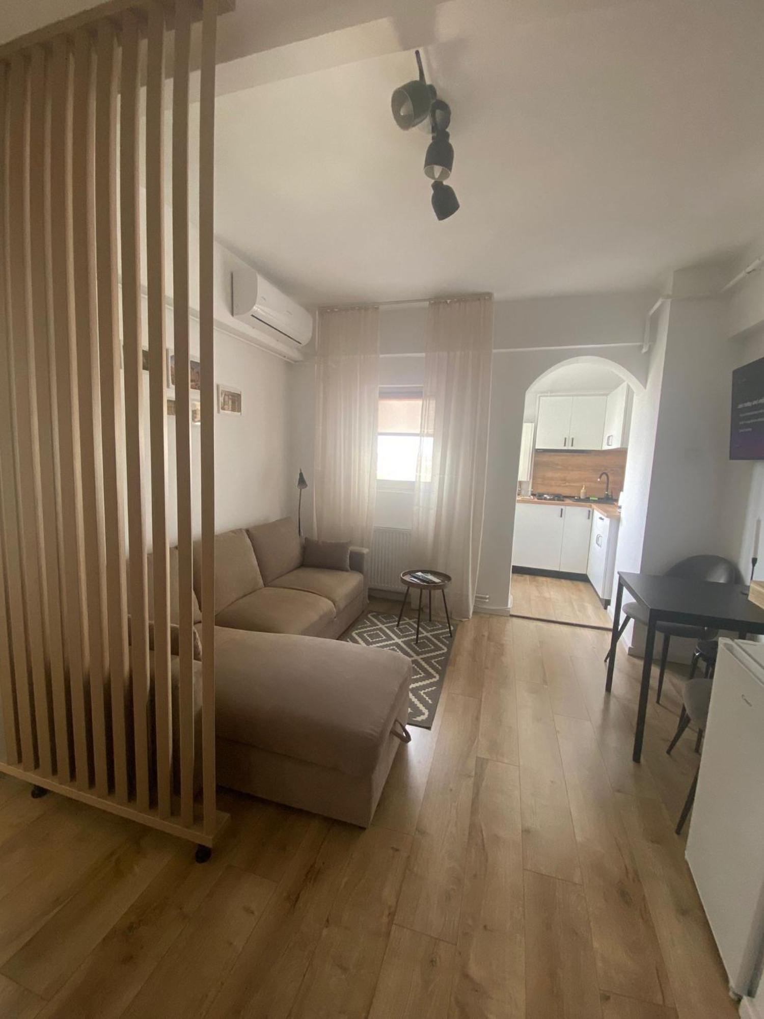 Doinei Cozy Flat Apartment Timisoara Bagian luar foto