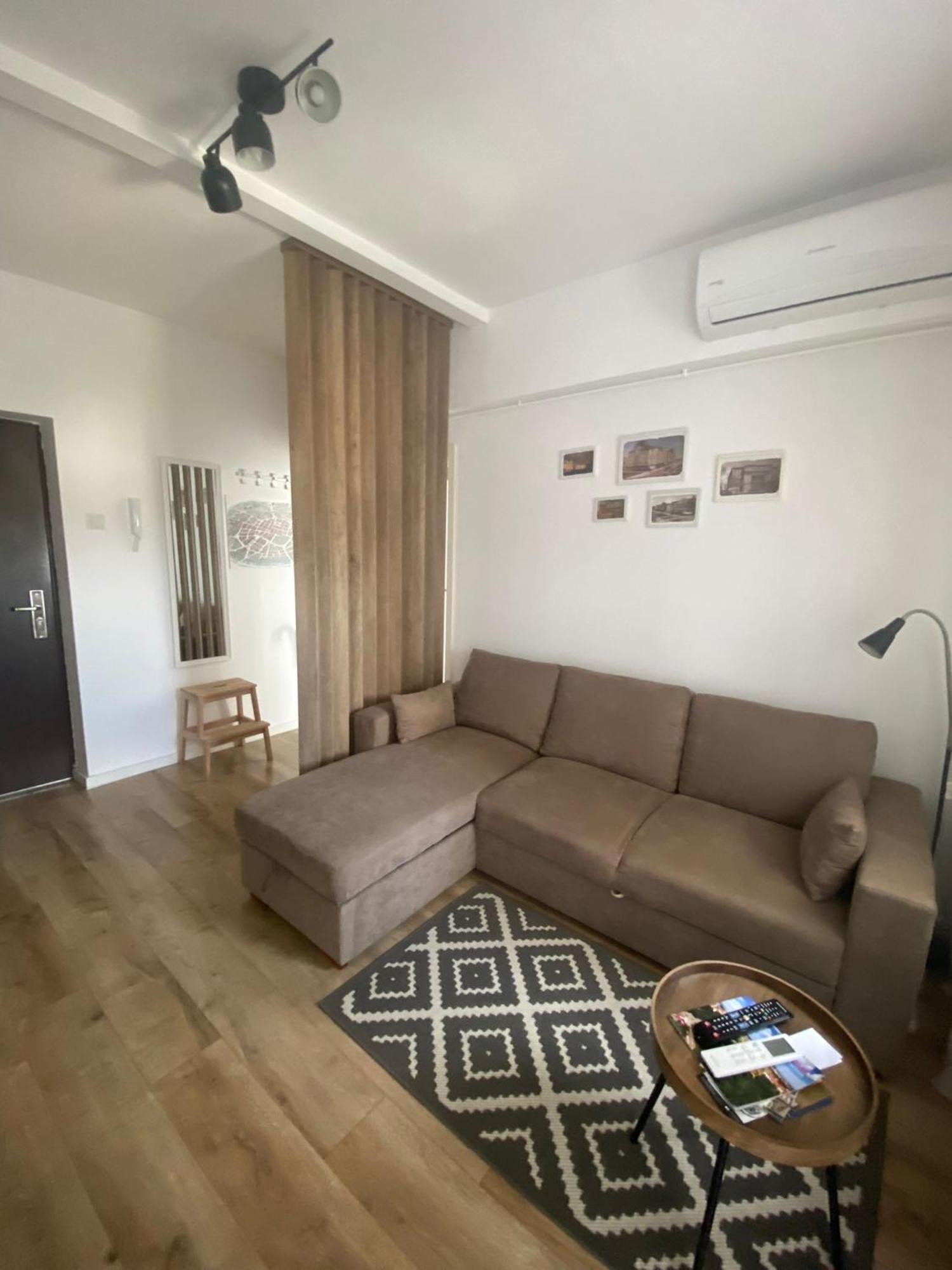 Doinei Cozy Flat Apartment Timisoara Bagian luar foto
