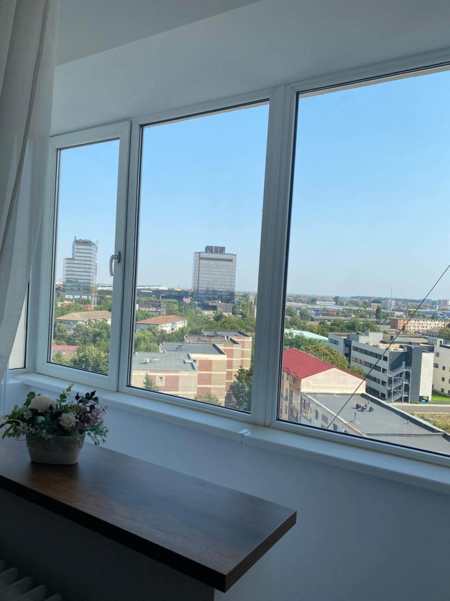 Doinei Cozy Flat Apartment Timisoara Bagian luar foto